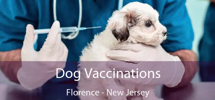 Dog Vaccinations Florence - New Jersey