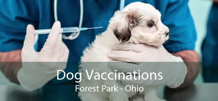 Dog Vaccinations Forest Park - Ohio