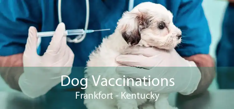 Dog Vaccinations Frankfort - Kentucky