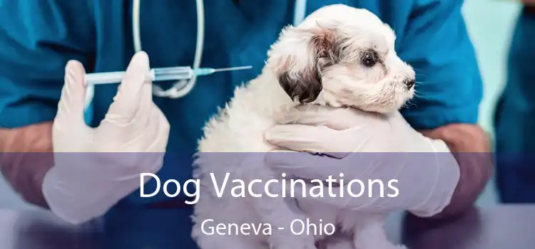 Dog Vaccinations Geneva - Ohio