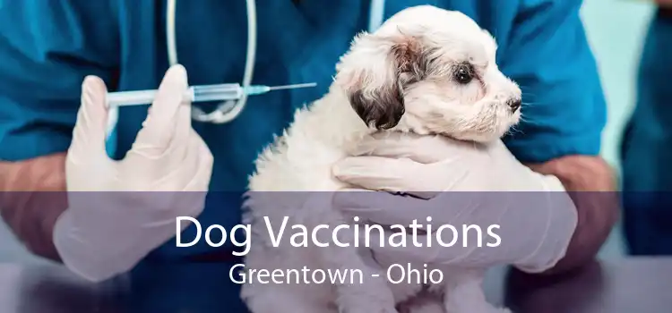 Dog Vaccinations Greentown - Ohio