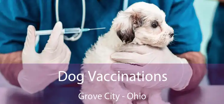 Dog Vaccinations Grove City - Ohio