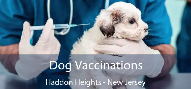 Dog Vaccinations Haddon Heights - New Jersey