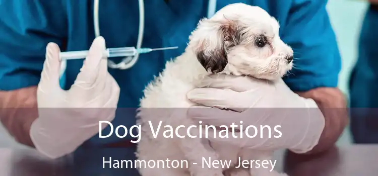 Dog Vaccinations Hammonton - New Jersey