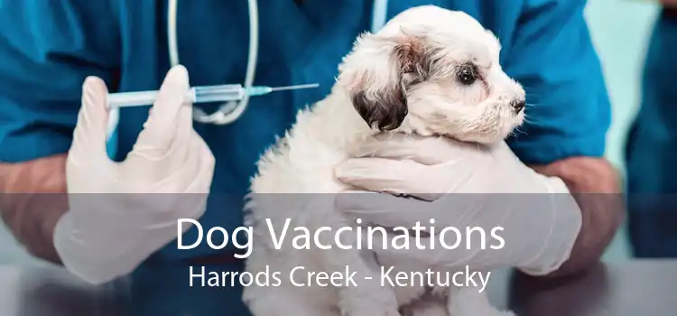 Dog Vaccinations Harrods Creek - Kentucky