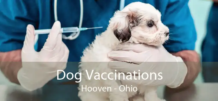 Dog Vaccinations Hooven - Ohio