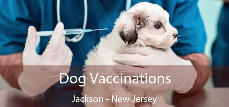 Dog Vaccinations Jackson - New Jersey