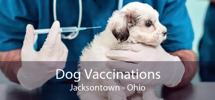 Dog Vaccinations Jacksontown - Ohio