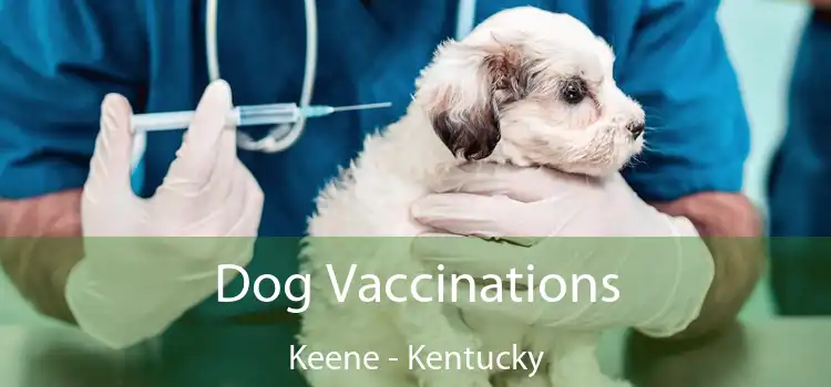 Dog Vaccinations Keene - Kentucky