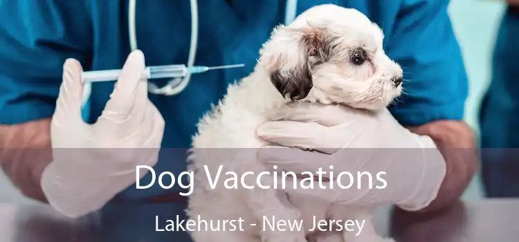 Dog Vaccinations Lakehurst - New Jersey