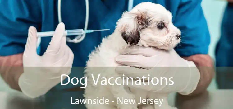 Dog Vaccinations Lawnside - New Jersey