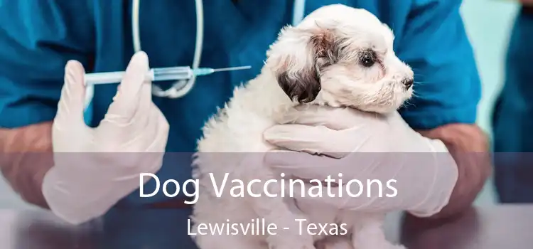 Dog Vaccinations Lewisville - Texas