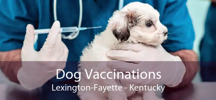 Dog Vaccinations Lexington-Fayette - Kentucky