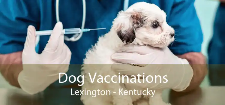 Dog Vaccinations Lexington - Kentucky