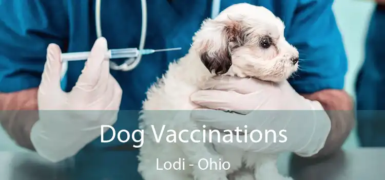 Dog Vaccinations Lodi - Ohio