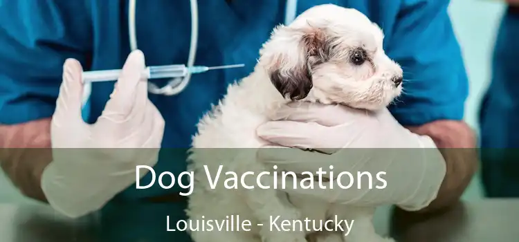 Dog Vaccinations Louisville - Kentucky