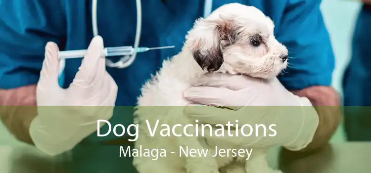 Dog Vaccinations Malaga - New Jersey