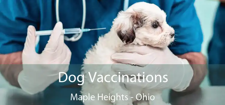 Dog Vaccinations Maple Heights - Ohio