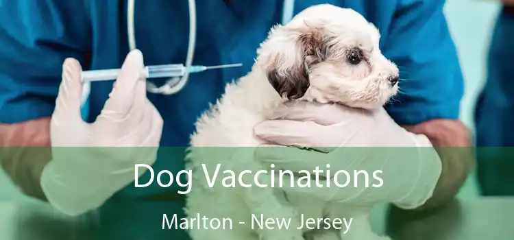 Dog Vaccinations Marlton - New Jersey