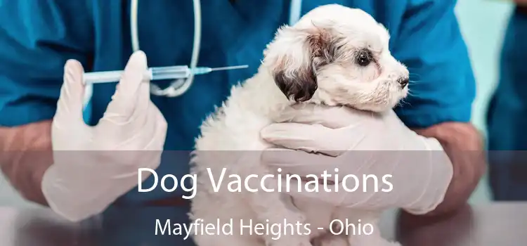 Dog Vaccinations Mayfield Heights - Ohio