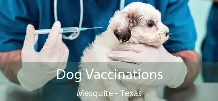 Dog Vaccinations Mesquite - Texas