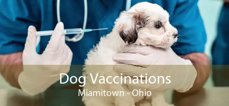 Dog Vaccinations Miamitown - Ohio