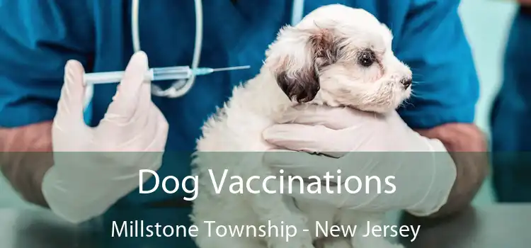 Dog Vaccinations Millstone Township - New Jersey