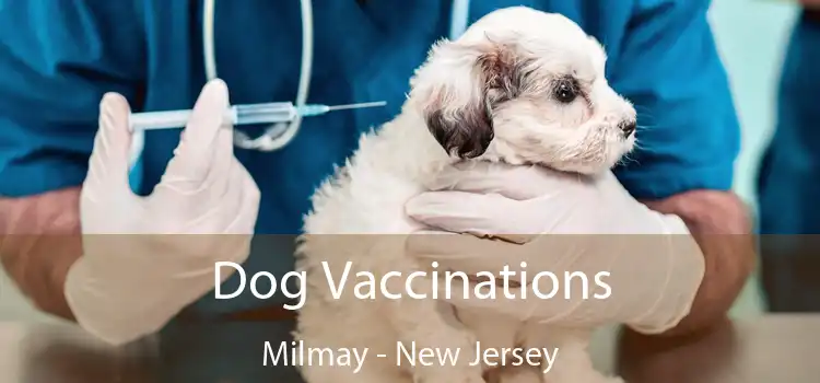 Dog Vaccinations Milmay - New Jersey