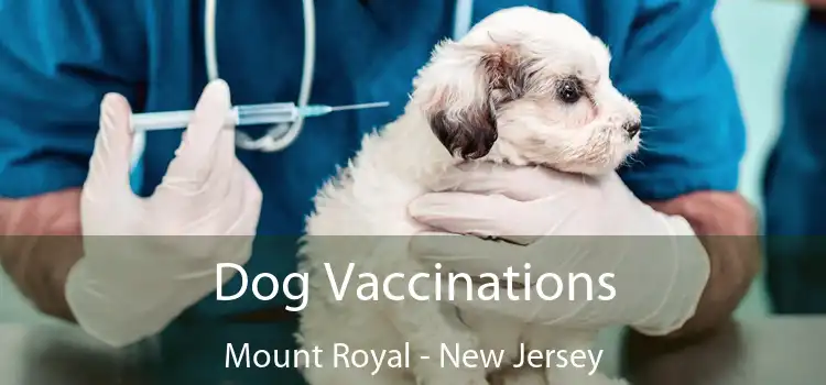 Dog Vaccinations Mount Royal - New Jersey