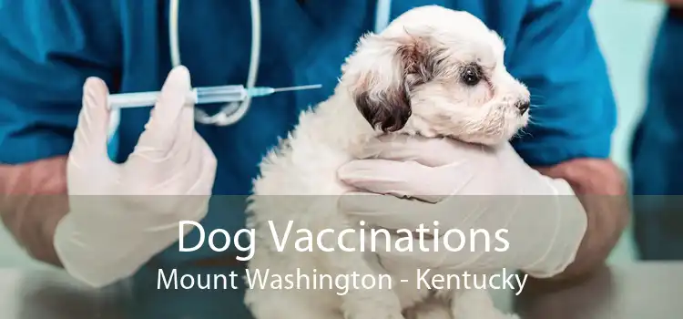Dog Vaccinations Mount Washington - Kentucky