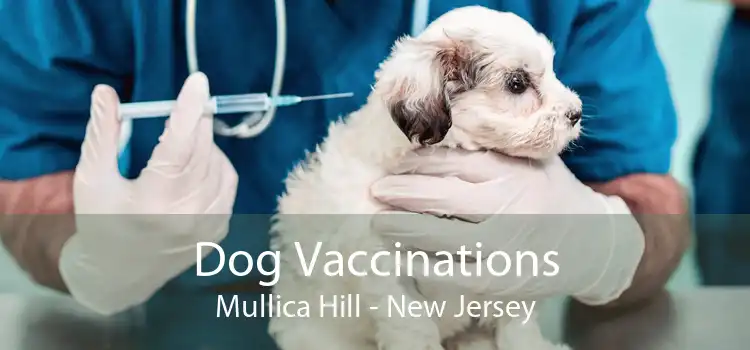 Dog Vaccinations Mullica Hill - New Jersey