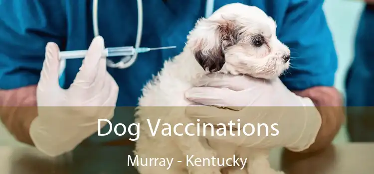 Dog Vaccinations Murray - Kentucky