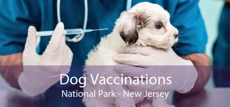 Dog Vaccinations National Park - New Jersey