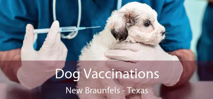 Dog Vaccinations New Braunfels - Texas