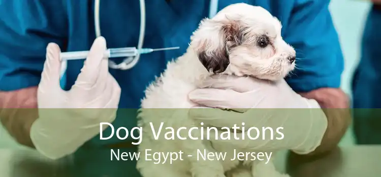 Dog Vaccinations New Egypt - New Jersey