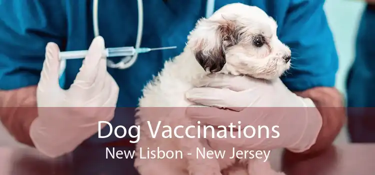 Dog Vaccinations New Lisbon - New Jersey