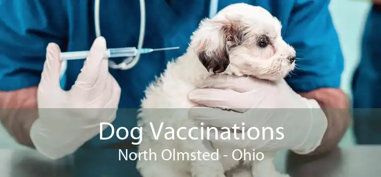 Dog Vaccinations North Olmsted - Ohio