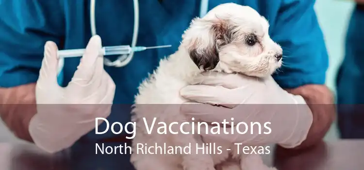Dog Vaccinations North Richland Hills - Texas