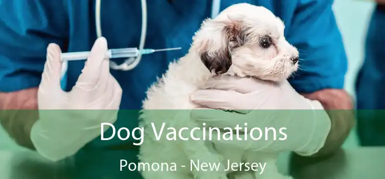 Dog Vaccinations Pomona - New Jersey