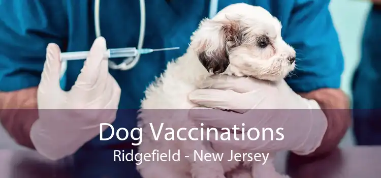 Dog Vaccinations Ridgefield - New Jersey