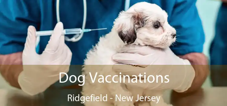 Dog Vaccinations Ridgefield - New Jersey