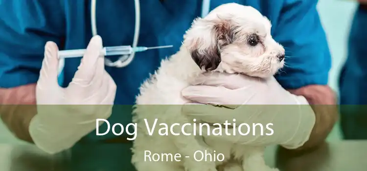 Dog Vaccinations Rome - Ohio