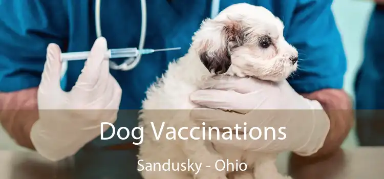 Dog Vaccinations Sandusky - Ohio