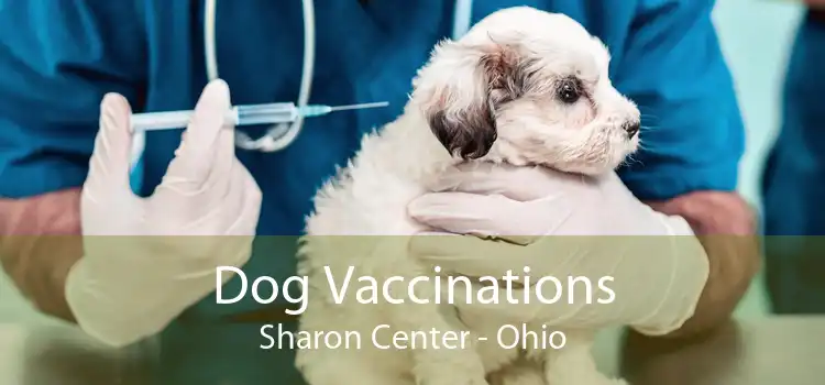 Dog Vaccinations Sharon Center - Ohio