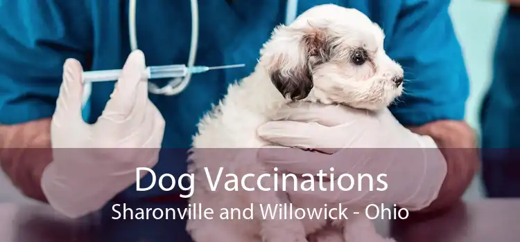 Dog Vaccinations Sharonville and Willowick - Ohio