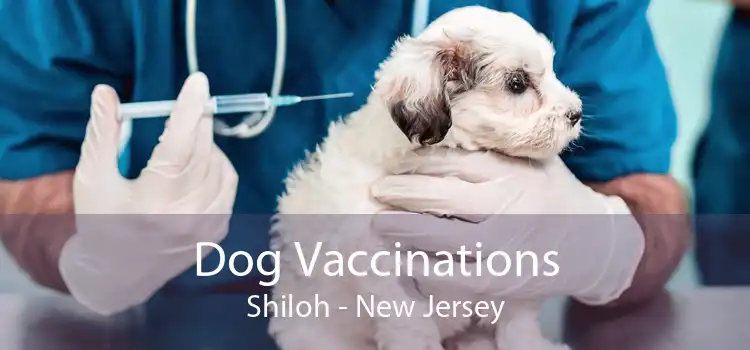 Dog Vaccinations Shiloh - New Jersey