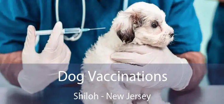 Dog Vaccinations Shiloh - New Jersey