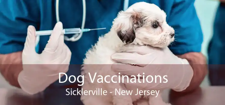 Dog Vaccinations Sicklerville - New Jersey