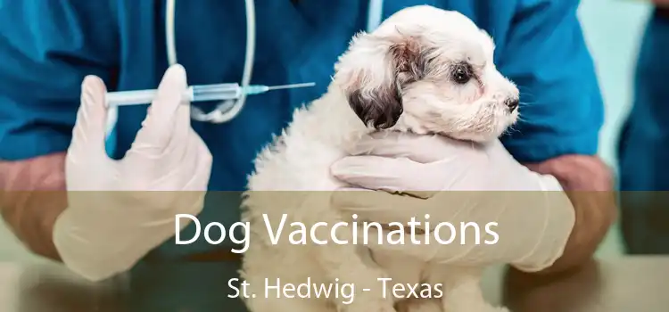 Dog Vaccinations St. Hedwig - Texas