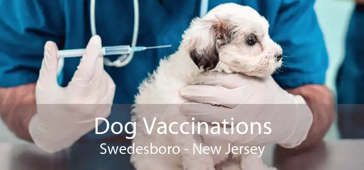 Dog Vaccinations Swedesboro - New Jersey